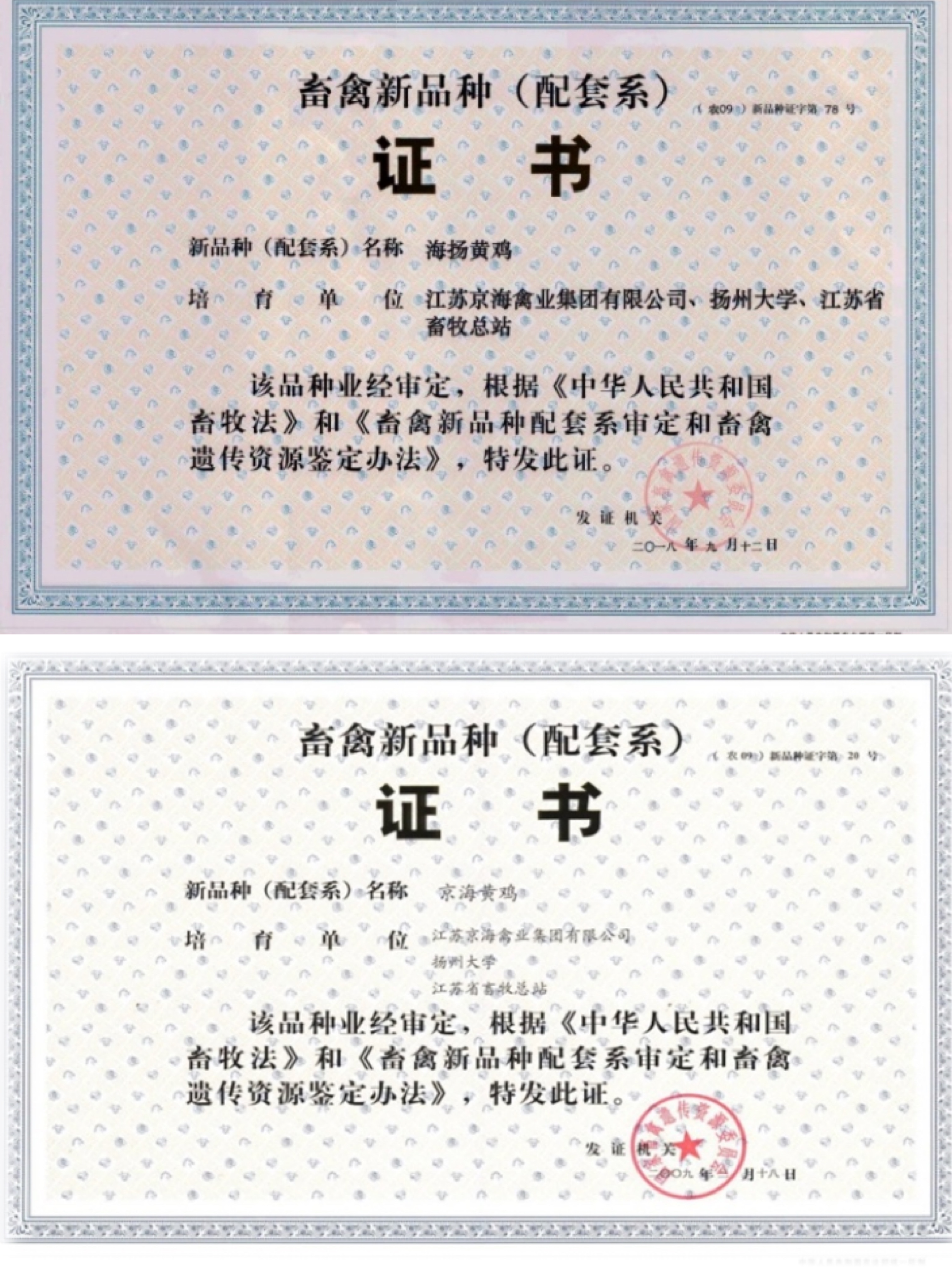 KS��ʱ��(�й���)�ٷ���վ
