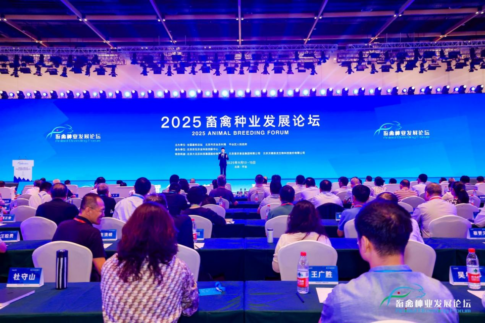 ��Ӫ��ҵ�·��� ��̽��չ���辶 --��˾��ί��ǡ����³����Ʒ�Ӧ������2025��