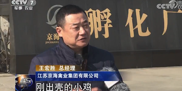 王总接受央视记者采访.png 王总接受央视记者采访.png